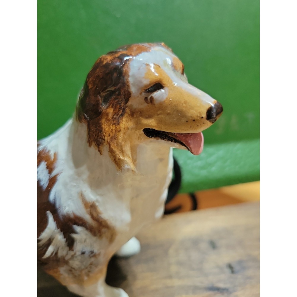 Australian Shepherd Darrenkamp Blaze 314/1000 Ron Hevener